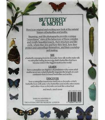 Butterfly and Moth (Eyewitness Guides) Back Cover