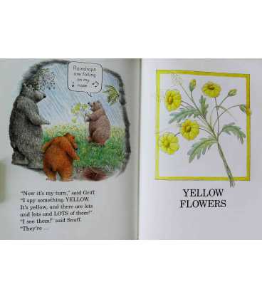 The Bear's Book of Colors Inside Page 1