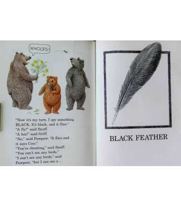 The Bear's Book of Colors Inside Page 2