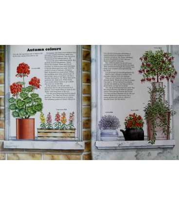 The Window Box Book Inside Page 2