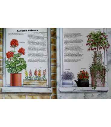 The Window Box Book Inside Page 2