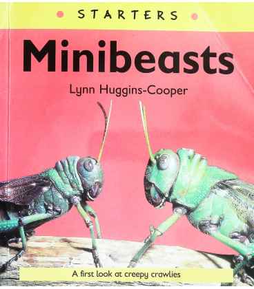 Minibeasts