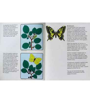 The National Trust Second Country Book Inside Page 1