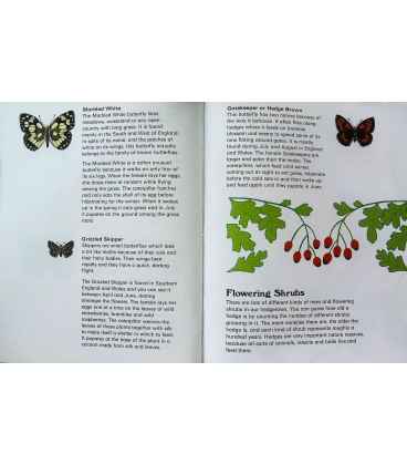 The National Trust Second Country Book Inside Page 2