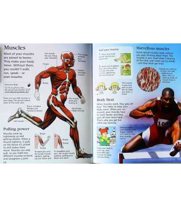The Usborne Little Book of the Human Body Inside Page 1