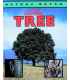 The Living Tree