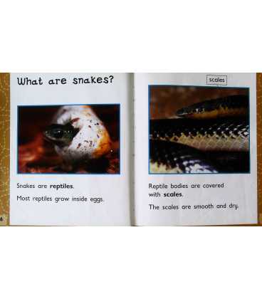 Snakes Inside Page 1