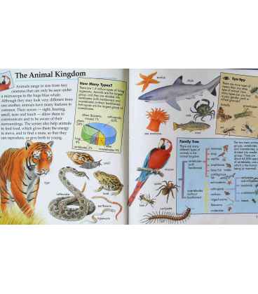 Animals in Action Inside Page 1