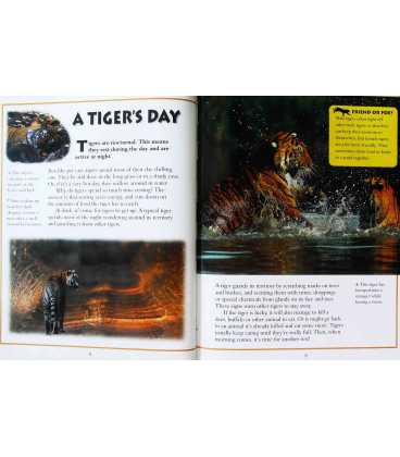 Tiger Inside Page 1