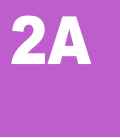 Level 2A